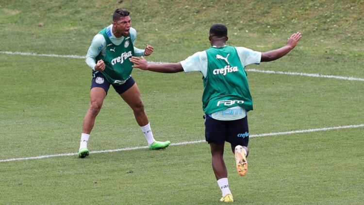 Palmeiras encara Avaí buscando assegurar vantagem