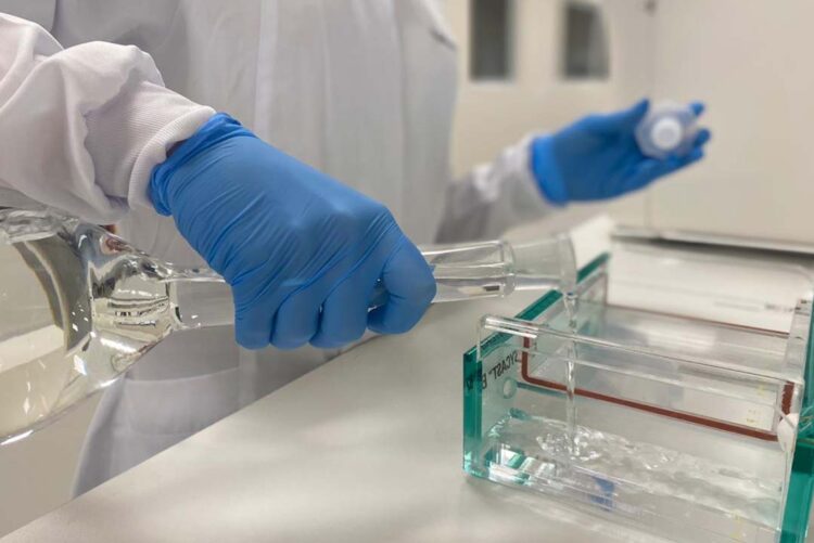 Governo do Paraná apoia projeto de pesquisa em genética com foco na prevenção de doenças