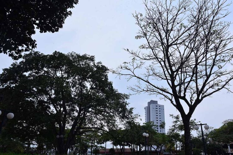 Paranavaí tem sexta-feira com chuva e fim de semana ensolarado, prevê Simepar