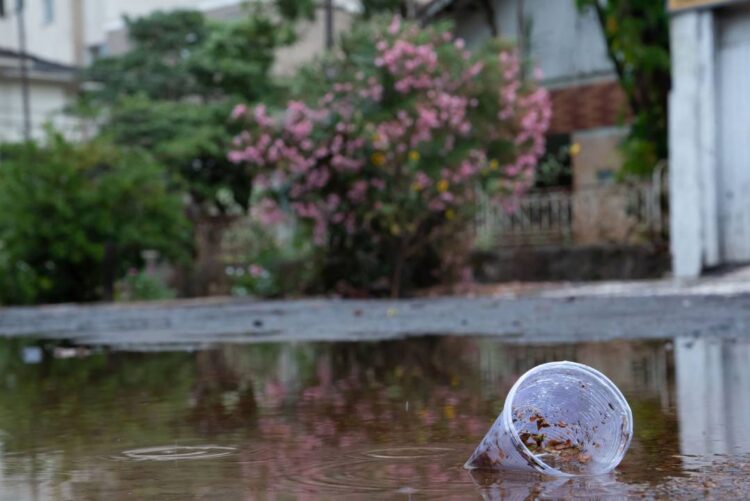 Índice de infestação do mosquito da dengue acende alerta sobre risco de epidemia em Paranavaí