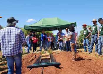 IDR-PR e Prefeitura de Terra Rica promovem  dia de campo sobre cultura de abacaxi