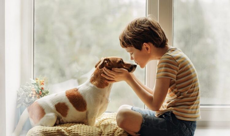 Animais de estimação e o sistema familiar