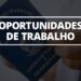 Agência do Trabalhador de Paranavaí oferece 116 vagas de emprego