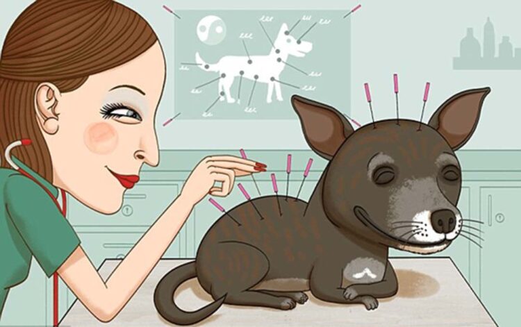 Uma explicação razoável para a maneira de agir da Acupuntura