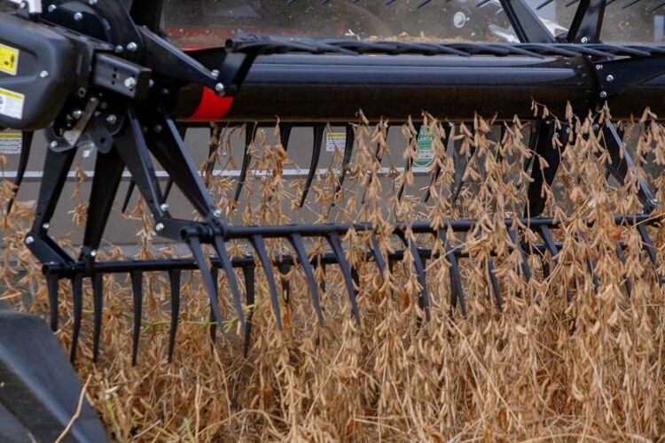 Exportações crescem com avanço do agro; indústria perde espaço