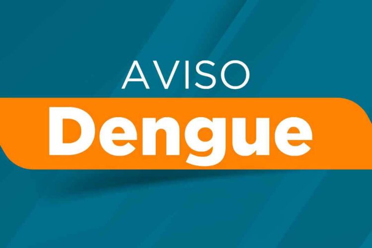 No último boletim do ano, Saúde confirma mais 126 casos de dengue no Paraná