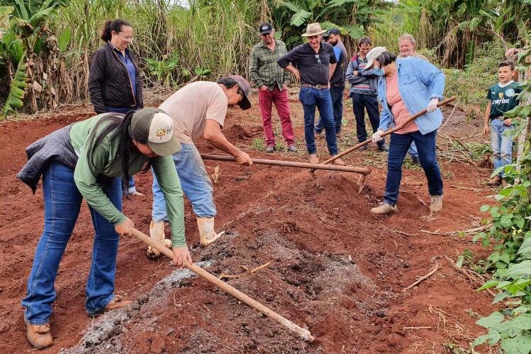 IDR-Paraná investe na capacitação de produtores