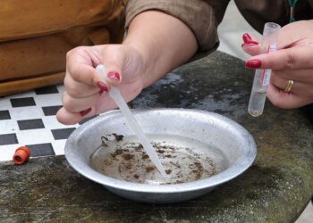 Município intensifica combate à dengue neste início de ano