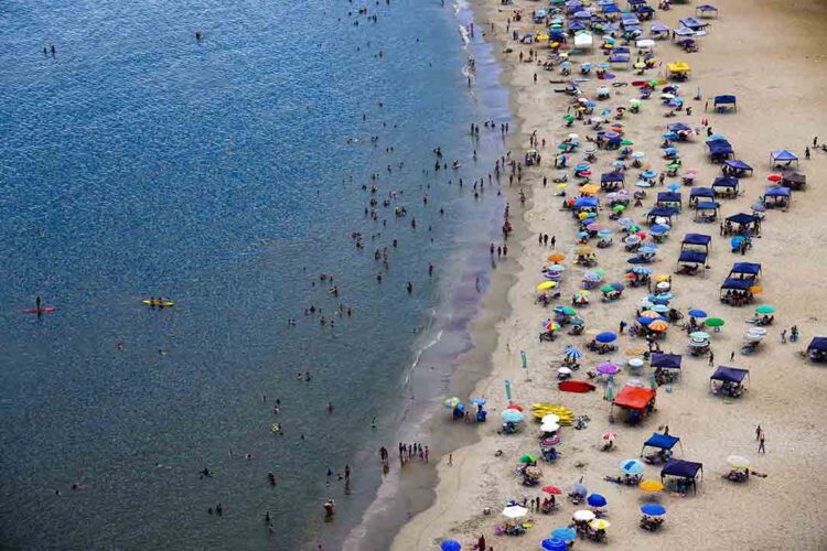 Saúde alerta para cuidados em casos de acidentes com águas-vivas e caravelas