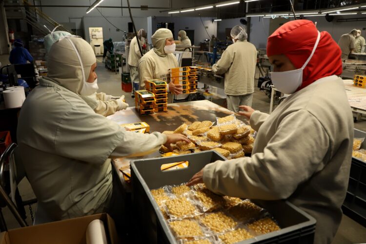 Com crescimento de 14%, rede Sine emprega 8.689 pessoas em janeiro de 2023