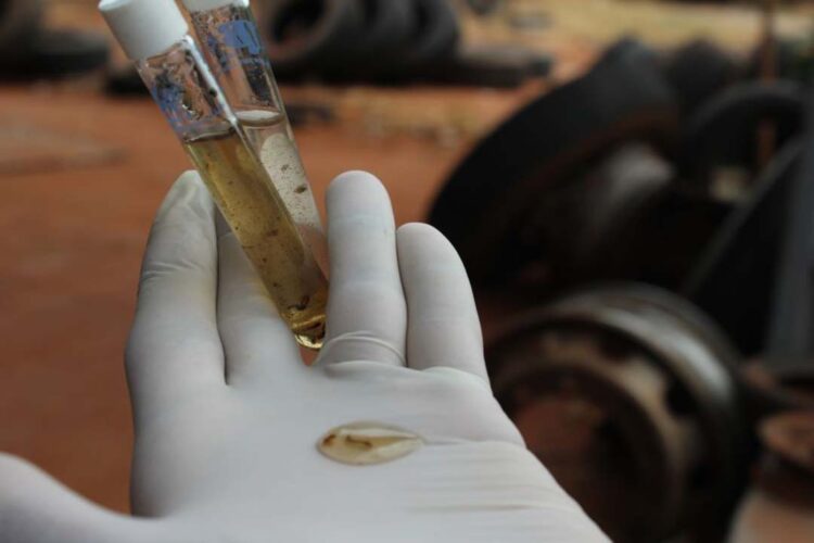 Segundo LIRA do ano tem índice de 7,1 e Vigilância alerta para situação perigosa em algumas regiões da cidade