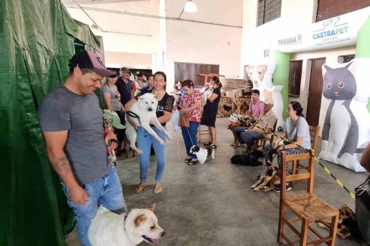 CastraPet Paraná alcança 73 mil animais esterilizados em 218 municípios