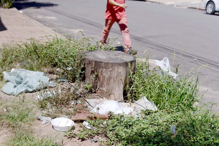Noroeste tem 17 municípios com alto índice de infestação do mosquito transmissor da dengue