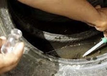 Aumento nos casos de dengue acende  alerta para intensificar a prevenção