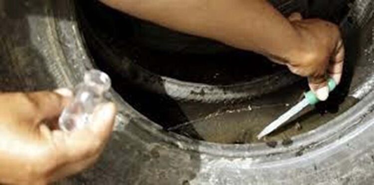 Aumento nos casos de dengue acende alerta para intensificar a prevenção