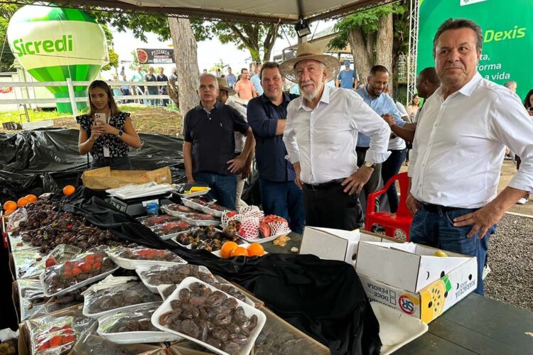 Estado planeja novas ações para aquecer e ampliar o turismo rural