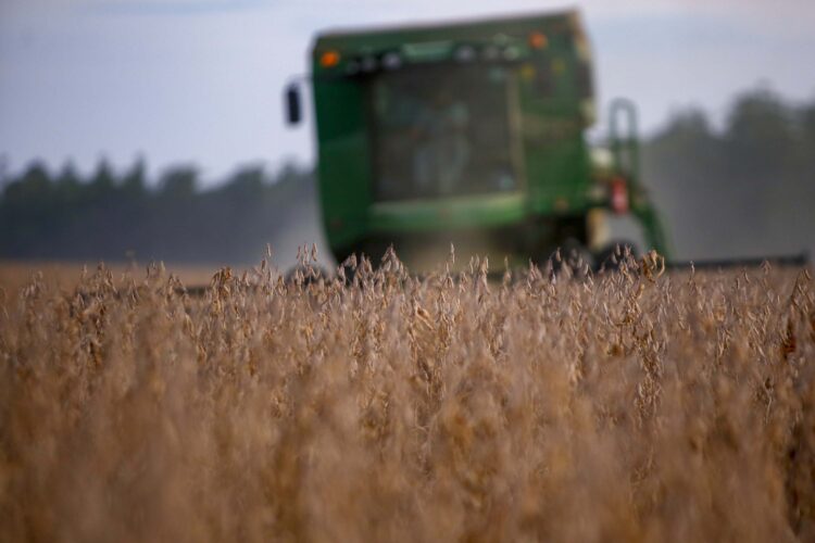 Com colheita avançada, relatório confirma maior safra de soja da história do Paraná