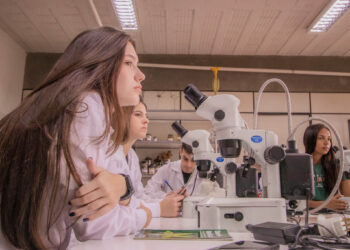 Ciência revolucionária: no Paraná, mulheres são maioria no sistema de ensino superior