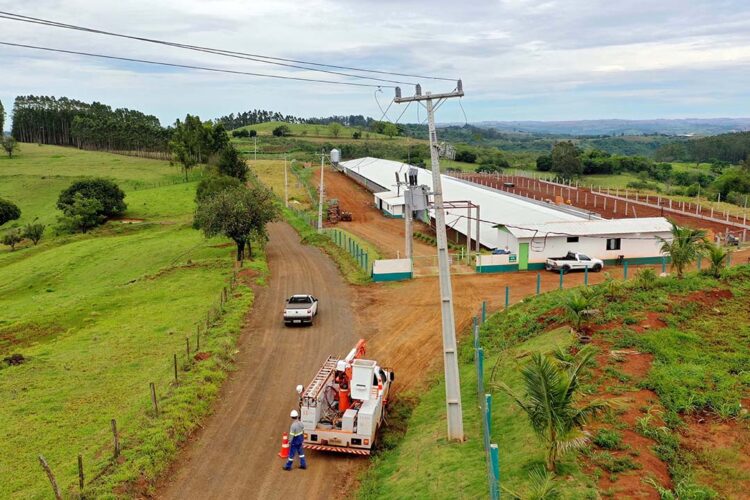Medidas de segurança evitam acidentes com a rede elétrica no meio rural