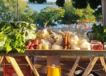 Feirantes de município passam por capacitação