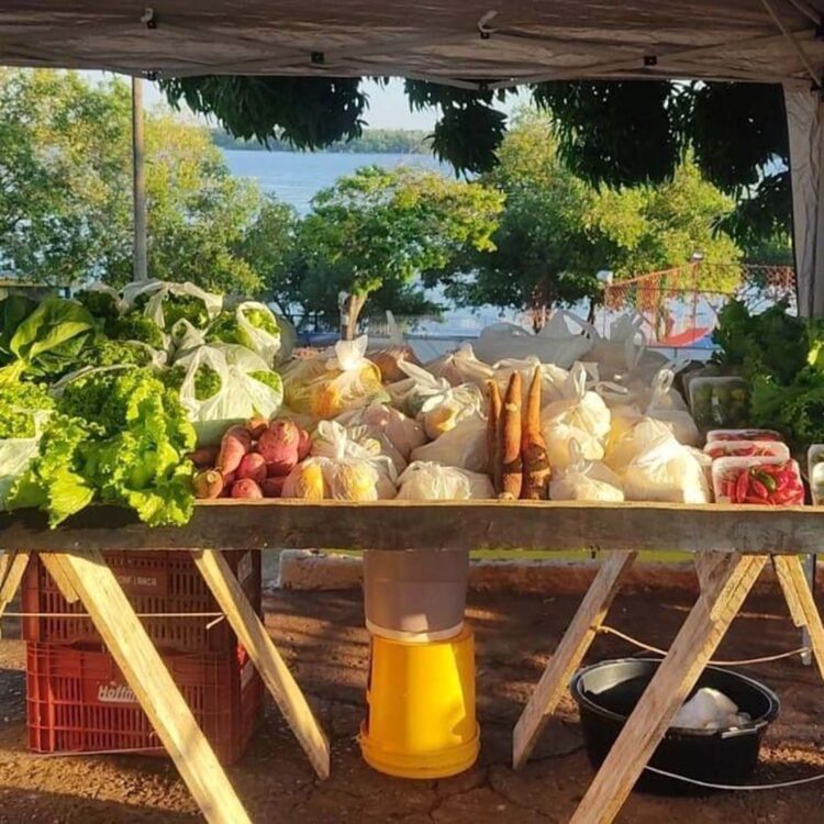 Feirantes de município passam por capacitação