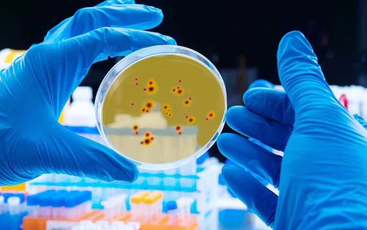 Retorno de cepas acende alerta para aumento de casos graves