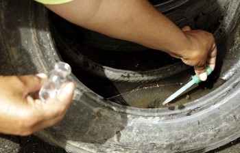 Boletim semanal confirma mais 12.206 casos e 9 óbitos no Paraná