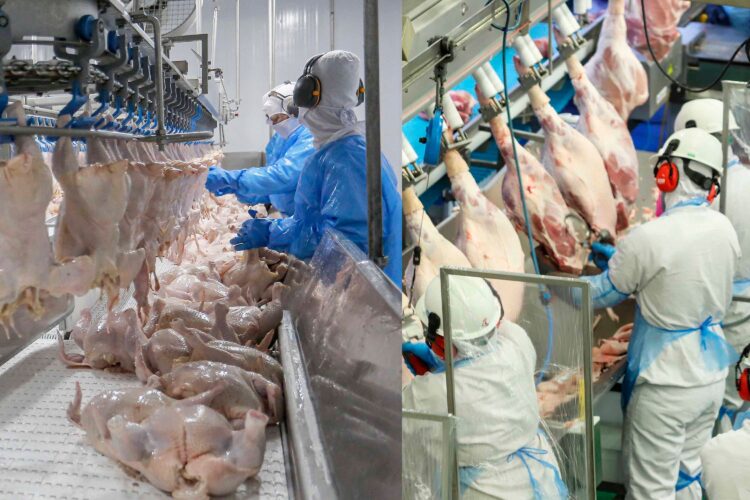 Estado atinge dois milhões de toneladas de proteínas exportadas pela primeira vez