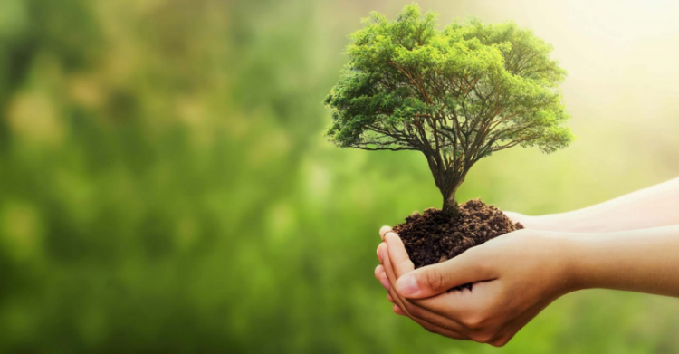 Município prepara programação da Semana do Meio Ambiente