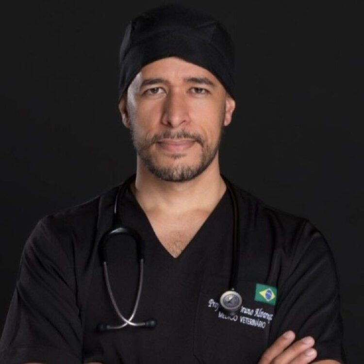 Veterinário dá dicas para proteger cães e gatos