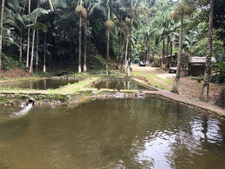 Crea-PR intensifica fiscalização de barragens, em julho