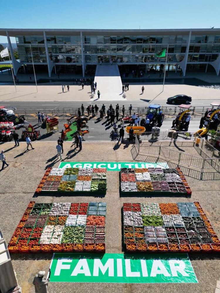 Agricultura familiar terá juros mais baixos para produção de alimentos