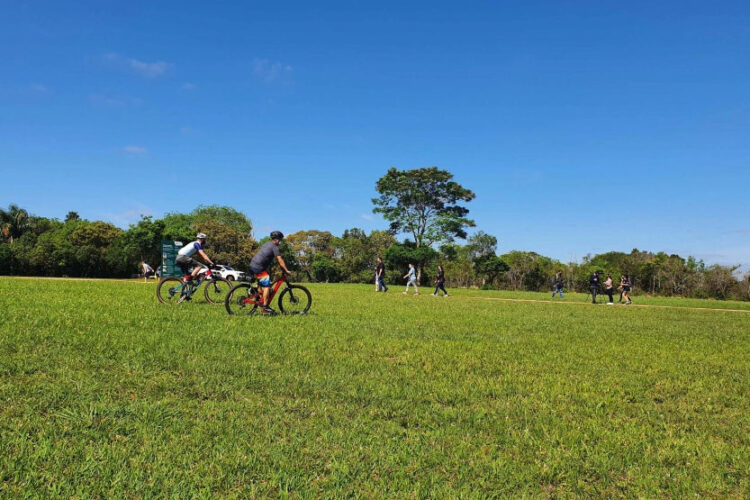 Feiras regionais, shows e eventos de esportes movimentam o Paraná em junho