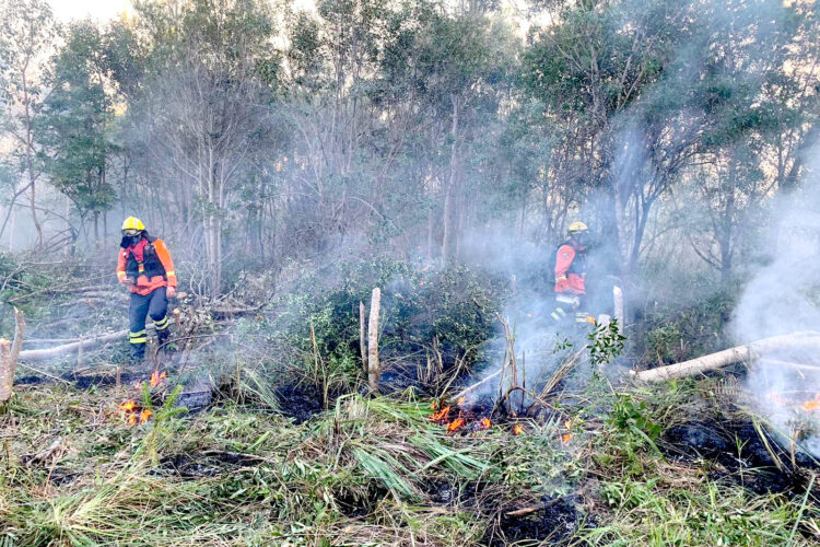 Com apoio do Simepar, Corpo de Bombeiros lança operação contra incêndios florestais