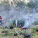 Com apoio do Simepar, Corpo de Bombeiros  lança operação contra incêndios florestais