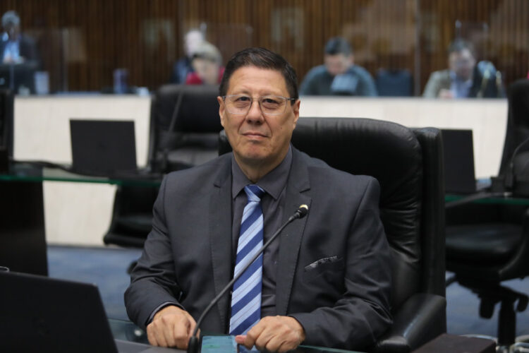 Projeto de lei visa a limitar número de crias comerciais por matriz de cães e gatos