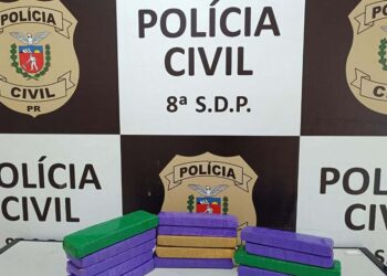 PCPR apreende 550 quilos de maconha e recupera veículo em Santa Cruz do Monte Castelo