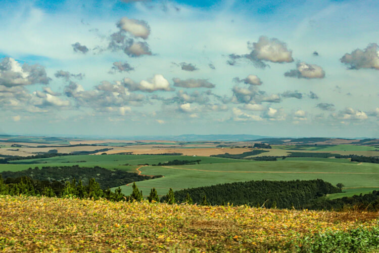 Boletim do IDR-Paraná analisa chuvas baixas  de junho e o reflexo na produção agrícola