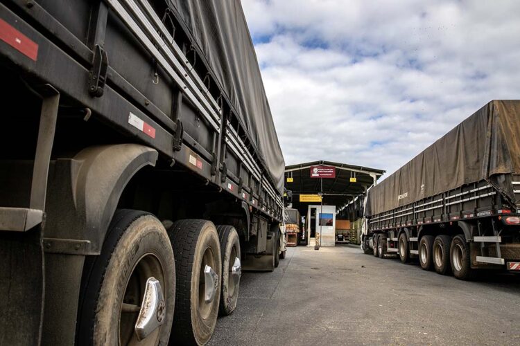 Porto de Paranaguá recebe quase 2,5 mil  caminhões de grãos e farelo em 24 horas