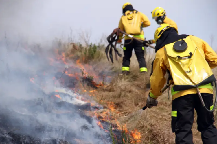 Brasil tem mais de nove incêndios por hora