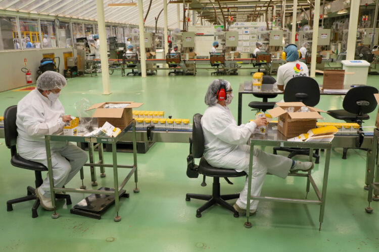 Paraná liderou empregabilidade de mulheres de janeiro a maio na região Sul