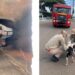 Dois cachorros são resgatados pelo Corpo de Bombeiros após cair em bueiro