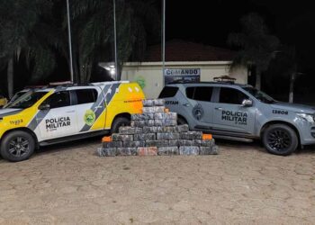 Polícia Militar apreende 478,5kg de maconha e recupera veículo roubado em Porto Rico