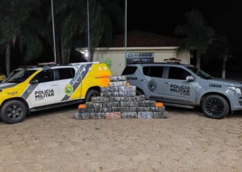Polícia Militar apreende quase meia tonelada  de maconha e recupera veículo roubado