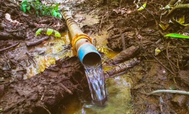 “Bíblia” de solo e água reúne maior estudo já realizado no Brasil