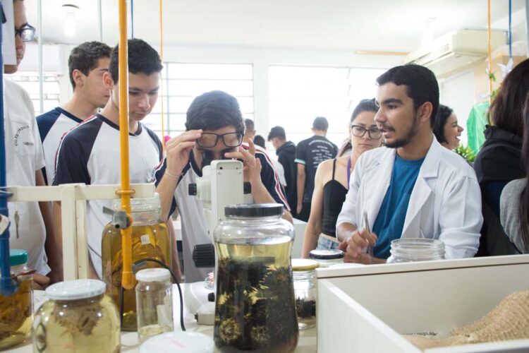 Mostra de Profissões apresenta características  dos cursos de graduação e do mercado de trabalho