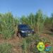 Polícia Militar recupera caminhonete furtada