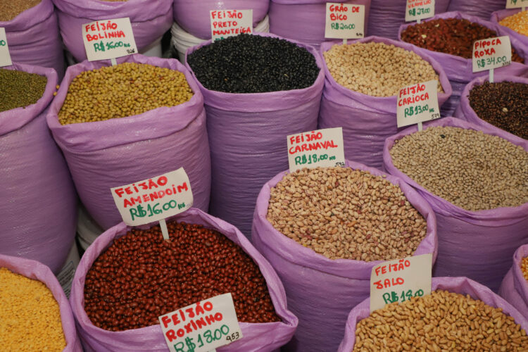 Produção de grãos é estimada em 320,1 milhões  de toneladas com ganhos de área e produtividade