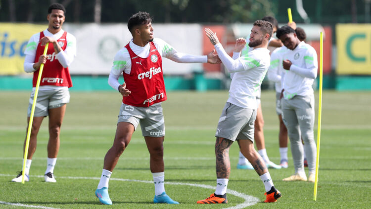 Goleada contra América-MG marca  ‘virada de chave’ pedida por Abel no Palmeiras