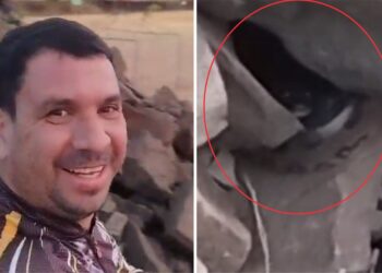 Pescador encontra cobra na prainha do Porto São José